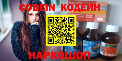 амф Кингисепп