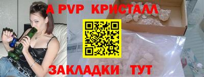 амф Кингисепп