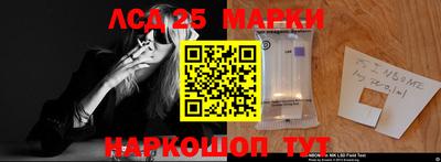 амф Кингисепп