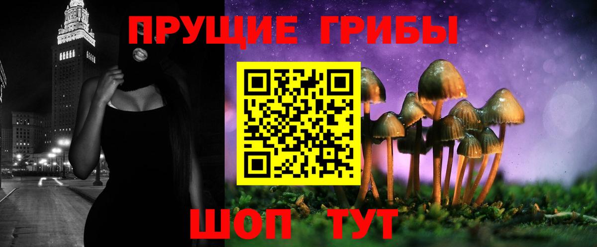 Псилоцибиновые грибы GOLDEN TEACHER  Псилоцибиновые грибы Cubensis  Сургут  Вход с VPN 